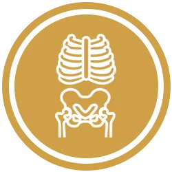 Skeleton Icon Gold