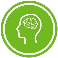 green evaluation icon