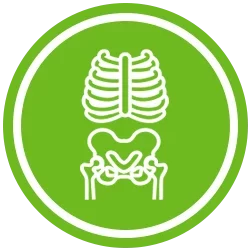 green skeletal icon